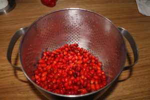Topped and tailed rosehips